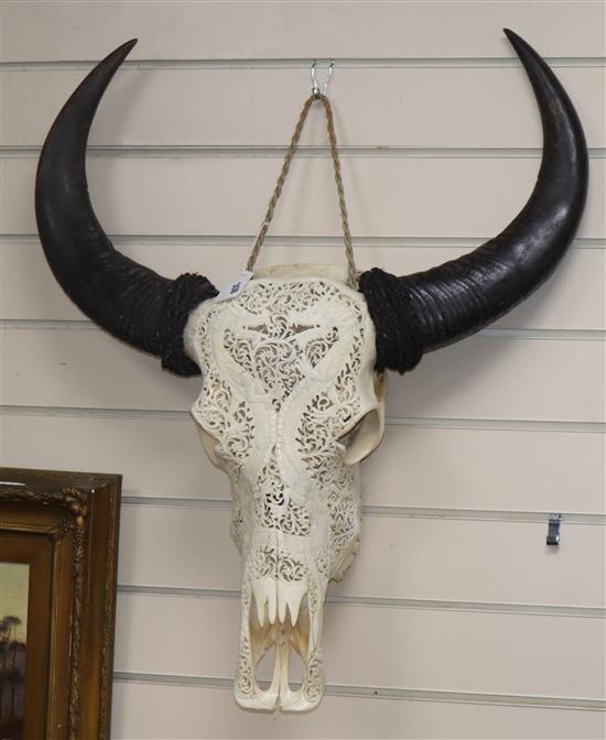 A South East Asian carved Buffalo skull with horns